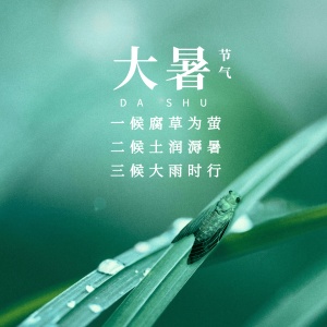 大暑节气祝福夏天实景方形海报