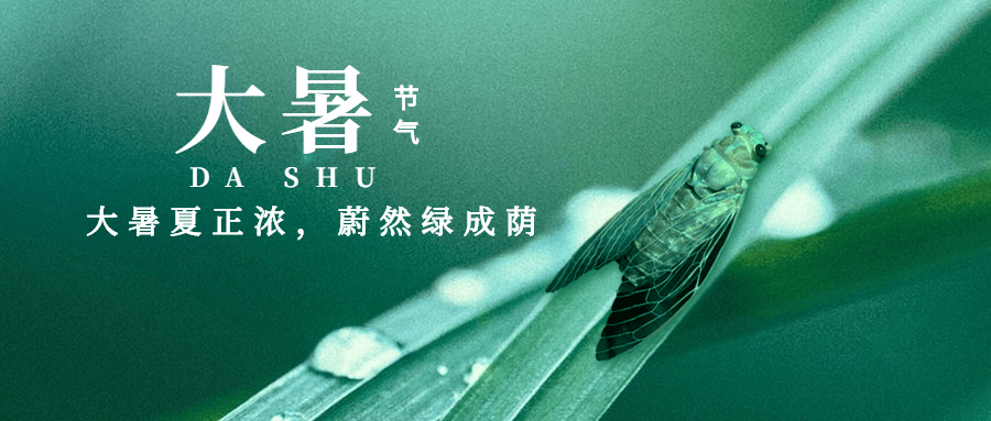 大暑节气祝福夏天实景公众号首图预览效果