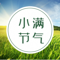 小满节气感师恩清新风公众号次图预览效果