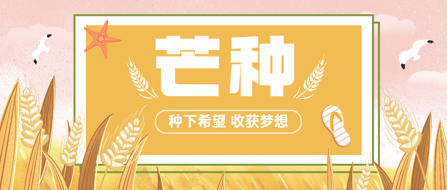 芒种节气问候祝福手绘公众号首图预览效果