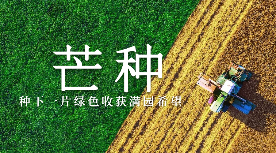 芒种节气祝福稻田农耕横版海报