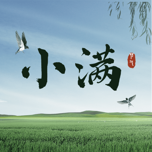 小满节气祝福问候燕子公众号次图预览效果