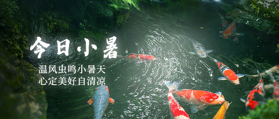 小暑节气祝福夏天实景公众号首图预览效果