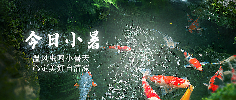 小暑节气祝福夏天实景公众号首图