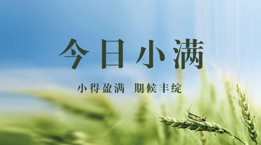 小满节气祝福实景夏天横版海报预览效果