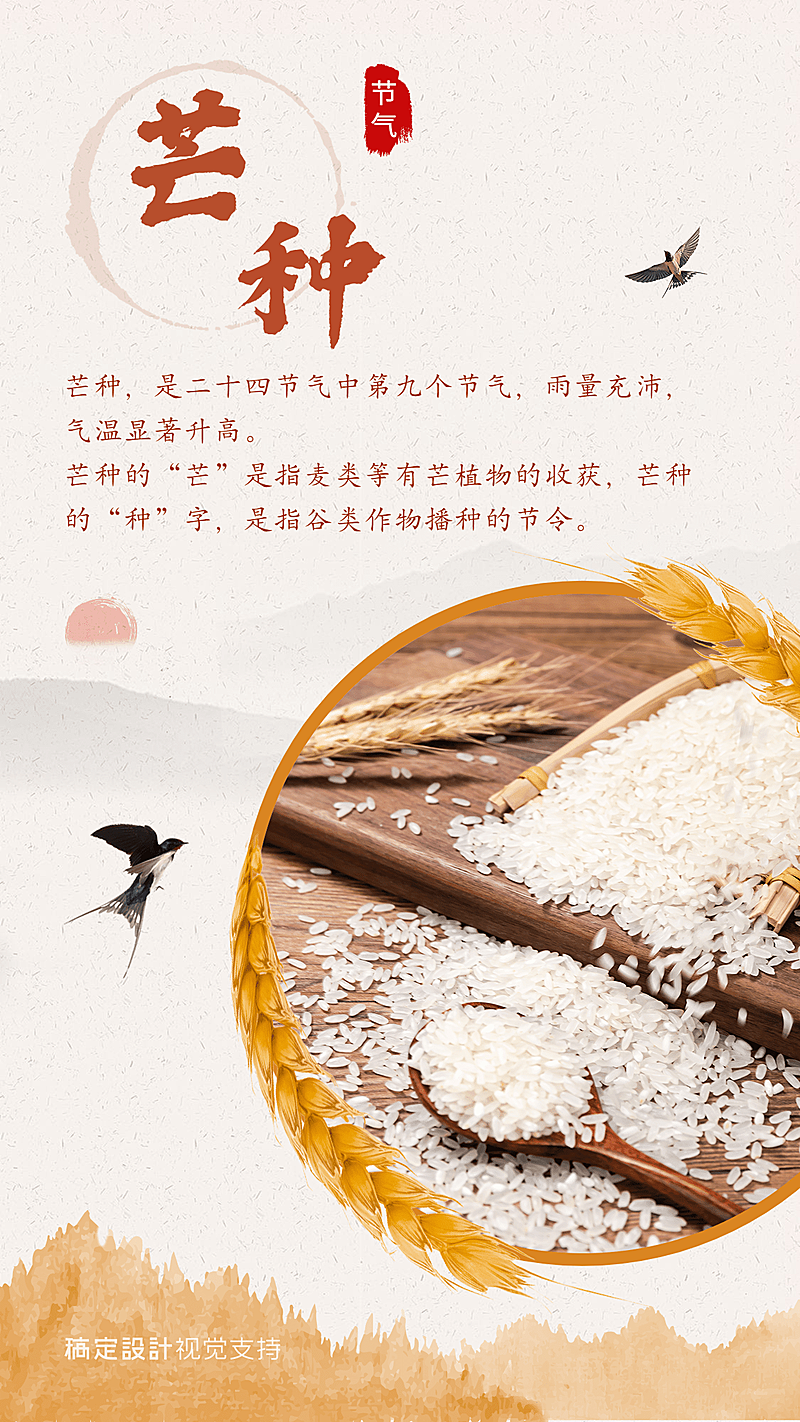 芒种时令百科知识宣传海报