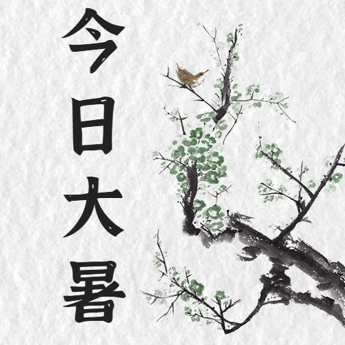 大暑节气祝福中国风公众号次图预览效果