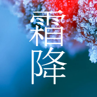 霜降/实景/公众号首图次图预览效果