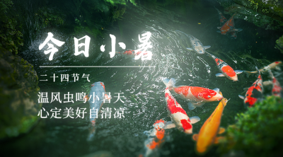 小暑节气祝福夏天实景横版海报