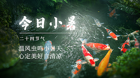 小暑节气祝福夏天实景横版海报