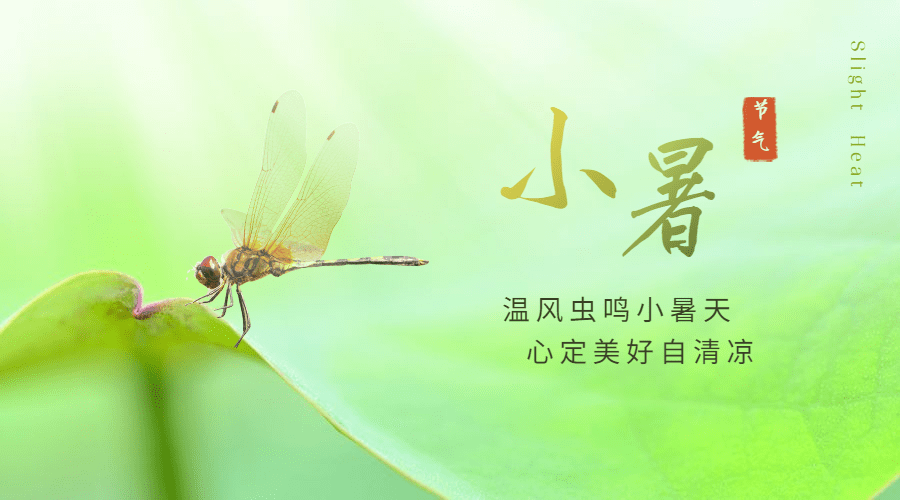 小暑节气祝福问候实景横版海报