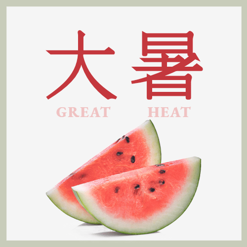 大暑节气问候实景西瓜公众号次图预览效果