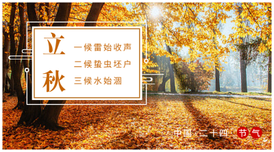 立秋清新文艺问候横图广告banner