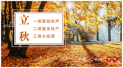 立秋清新文艺问候横图广告banner