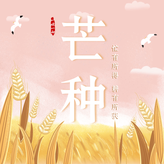芒种节气祝福农耕丰收方形海报预览效果