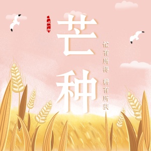 芒种节气祝福农耕丰收方形海报