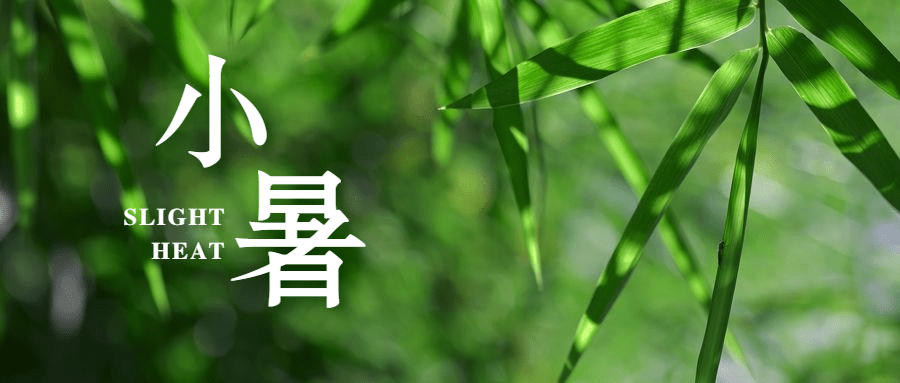 小暑节气清新植物实景公众号首图预览效果