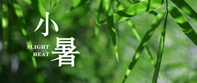小暑节气清新植物实景公众号首图