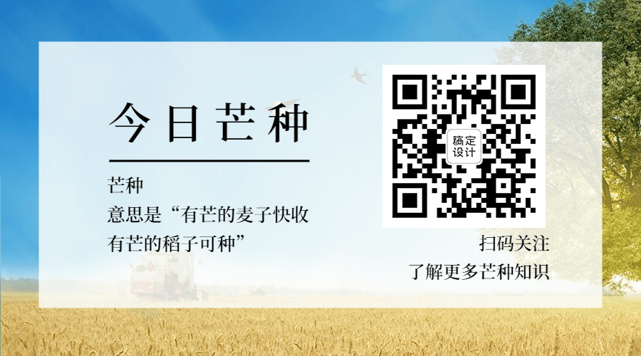 芒种节气祝福习俗引导关注二维码预览效果