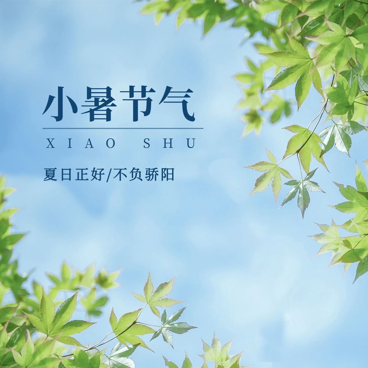小暑节气祝福夏天实景方形海报