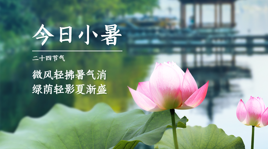 小暑节气祝福夏天莲花实景横版海报预览效果
