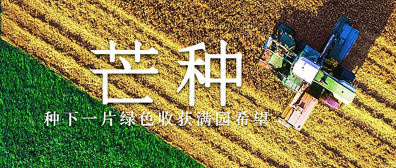 芒种节气祝福稻田农耕公众号首图