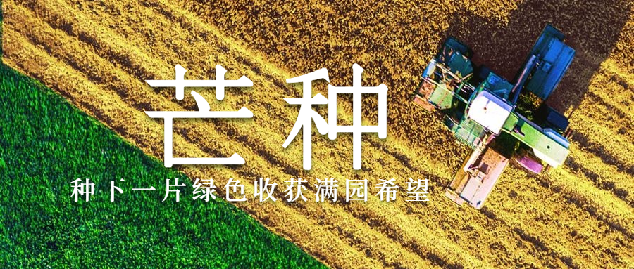 芒种节气祝福稻田农耕公众号首图