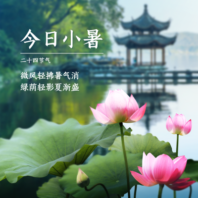 小暑节气祝福夏天莲花方形海报