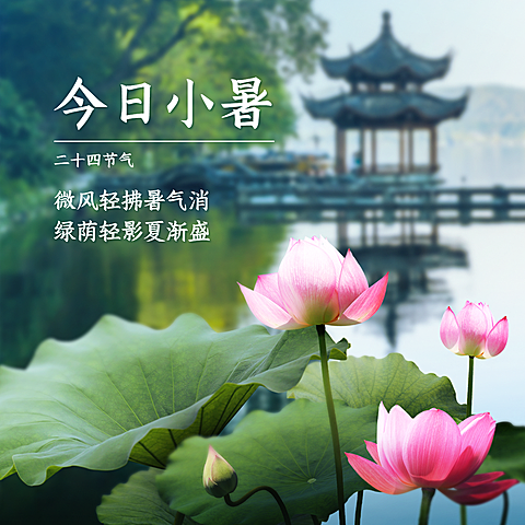 小暑节气祝福夏天莲花方形海报
