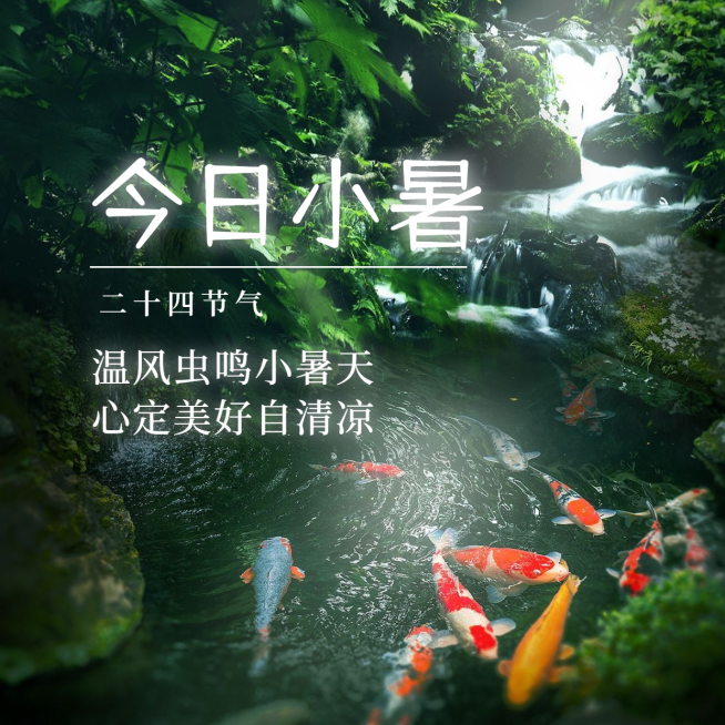 小暑节气祝福夏天实景方形海报预览效果