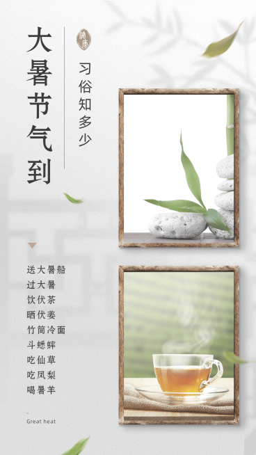 7.22大暑简约中国风茶知识科普预览效果