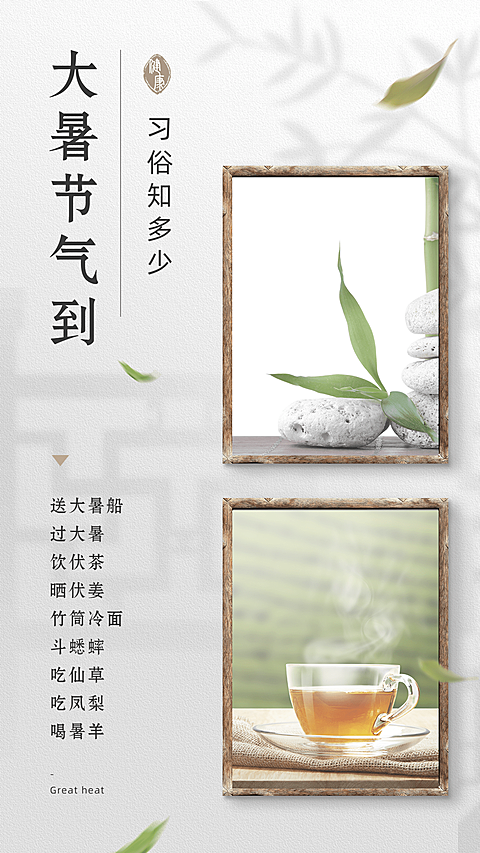 7.22大暑简约中国风茶知识科普