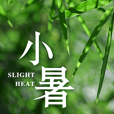 小暑节气清新植物实景公众号次图