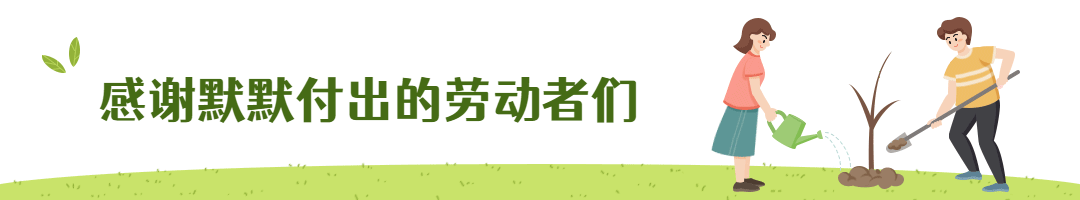 劳动节节日祝福公众号分割线预览效果