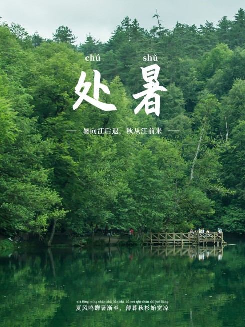 秋日节气处暑简约风plog模板预览效果