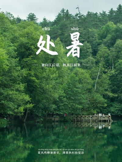 秋日节气处暑简约风plog模板