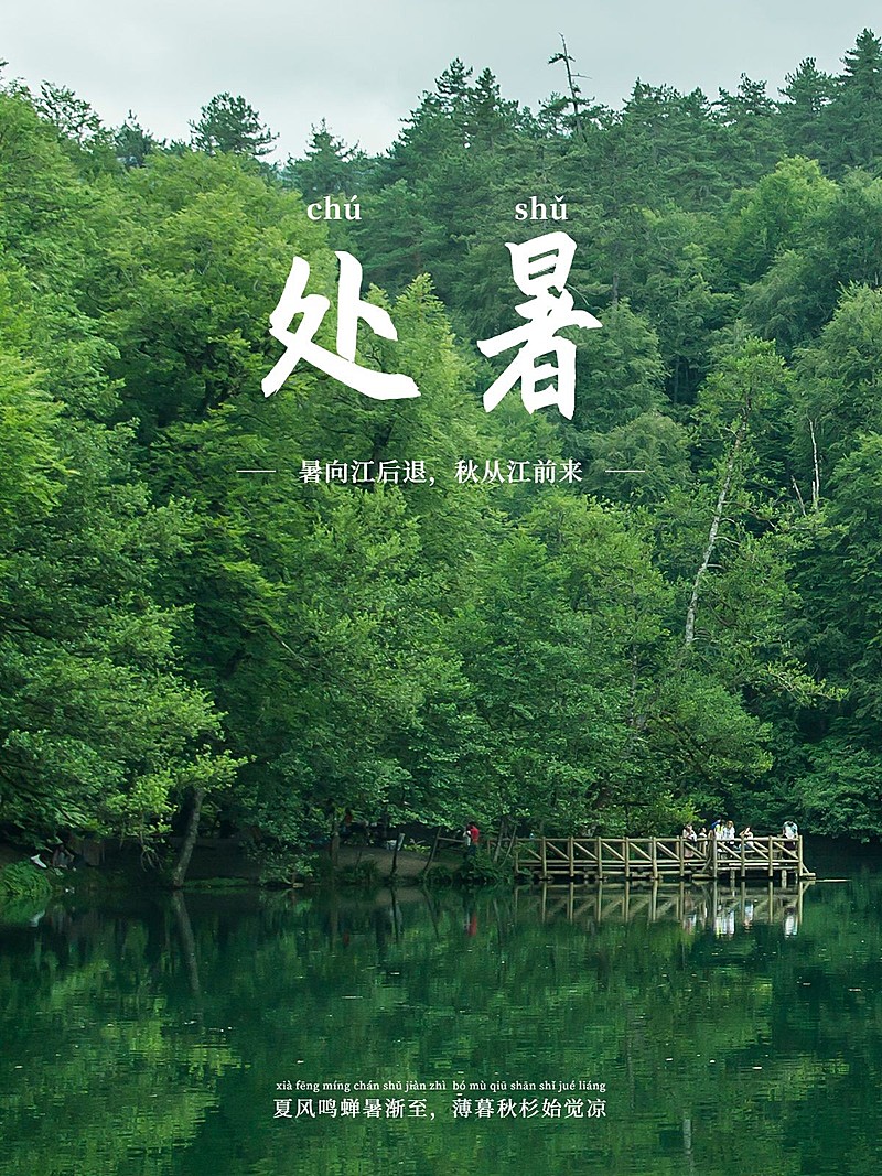 秋日节气处暑简约风plog模板