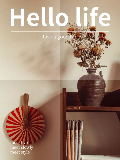 杂志海报晒物简约风plog模板预览效果