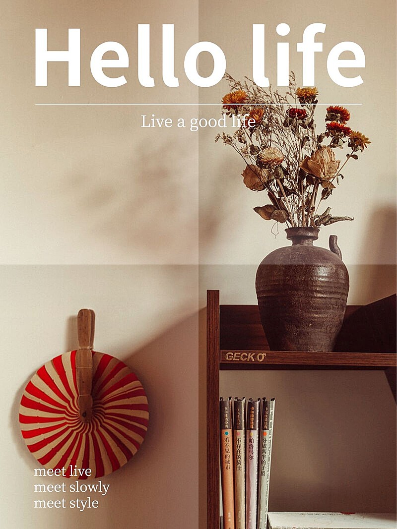 杂志海报晒物简约风plog模板