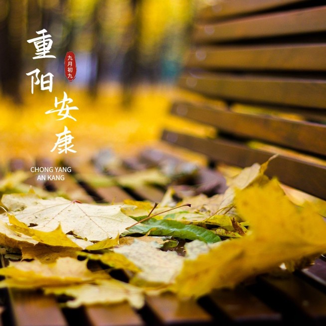 重阳节祝福极简风晒照plog模板预览效果