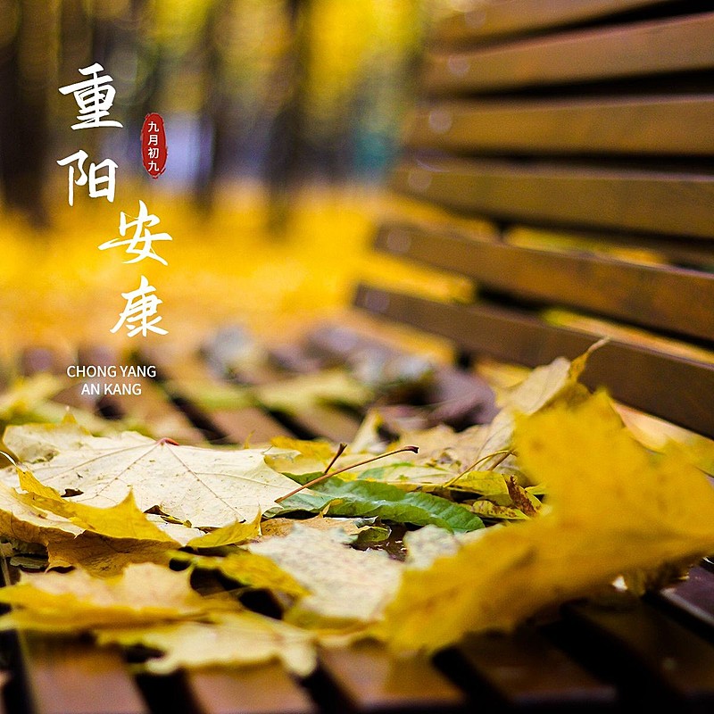 重阳节祝福极简风晒照plog模板