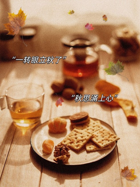 立秋晒美食下午茶简约复古风plog模板预览效果