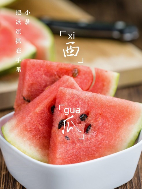 小暑晒美食节气水果简约风plog模板预览效果