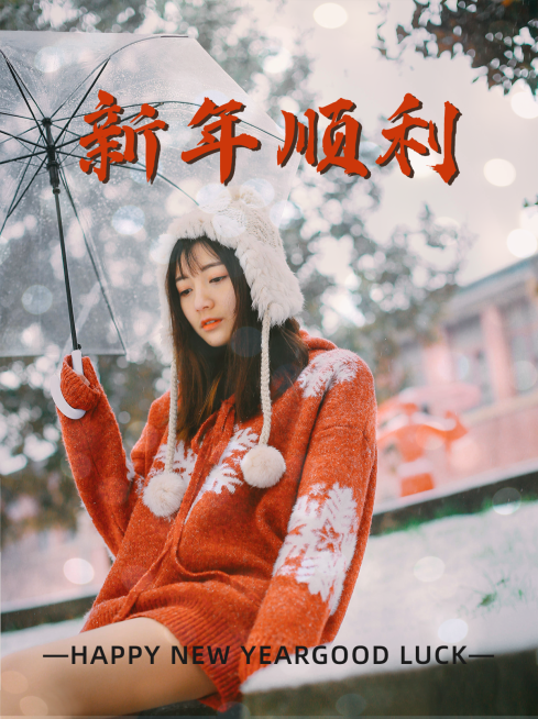 春节新年电影感文艺晒照plog小红书配图预览效果