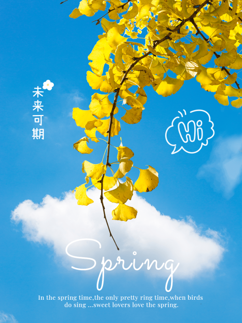 天空/云朵户外风景叶子清新风plog模板预览效果