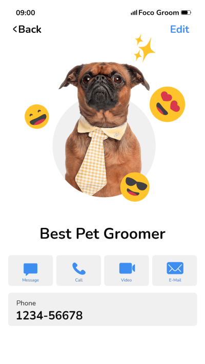 Creative Style Pet Mobile Phone Interface Simulaition Ecommerce Story