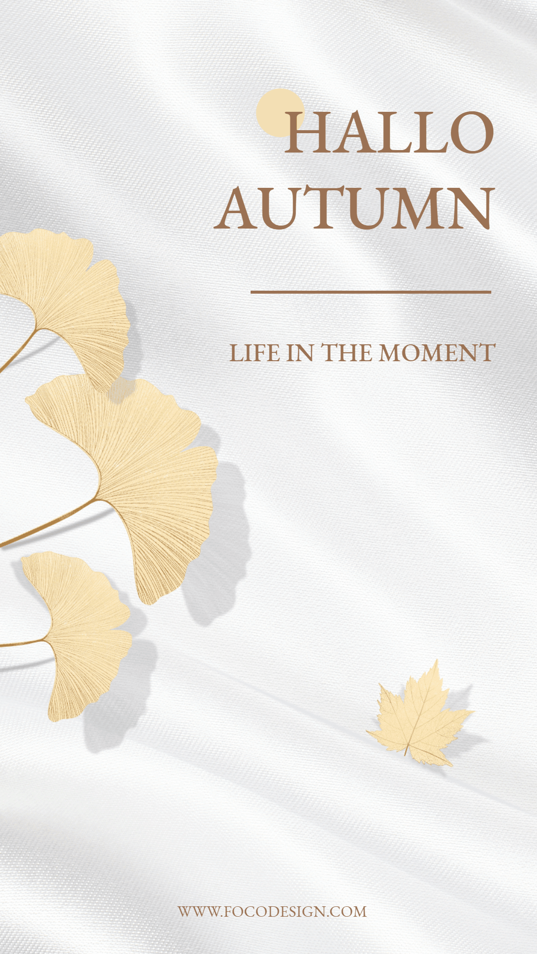 Simple Literary Style Leaves Element Autumn Season Greeting Text Instagram Story Video
