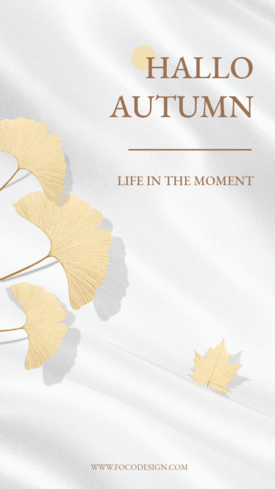 Simple Literary Style Leaves Element Autumn Season Greeting Text Instagram Story Video