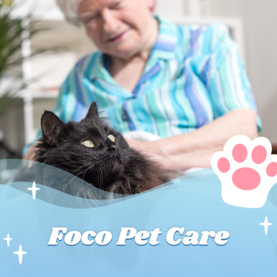 Cute Style Pet Care Service Introduction Ecommerce Product Image