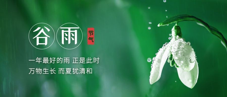 谷雨节气祝福宣传实景公众号首图预览效果